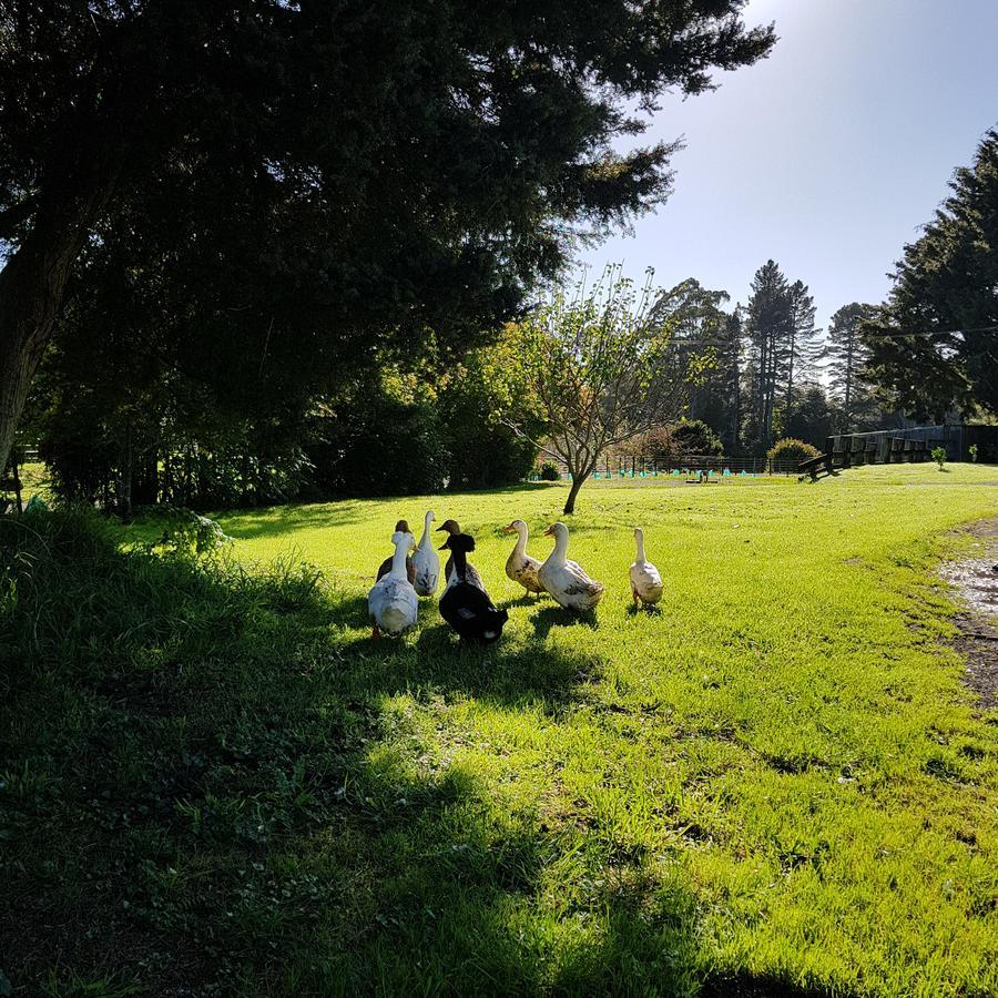 Poripori Homestead Tauranga Exteriör bild