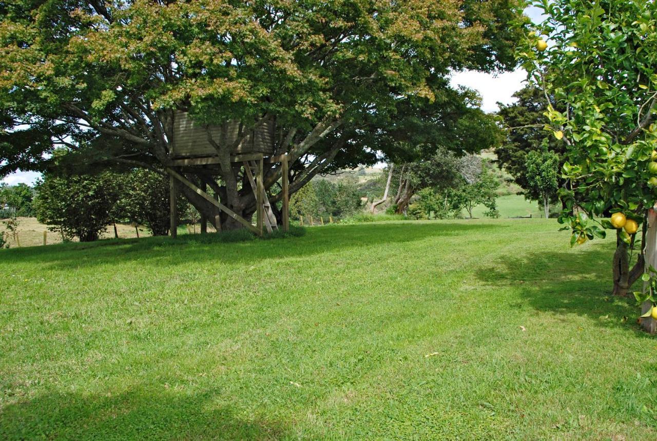 Poripori Homestead Tauranga Exteriör bild